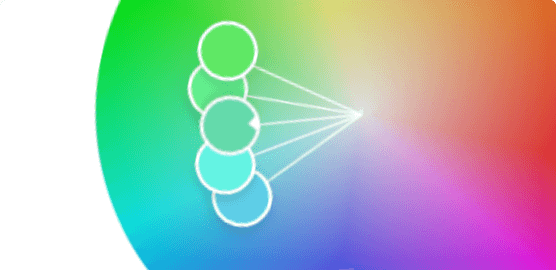 Adobe Color 调色盘